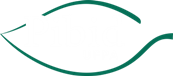 UFPA